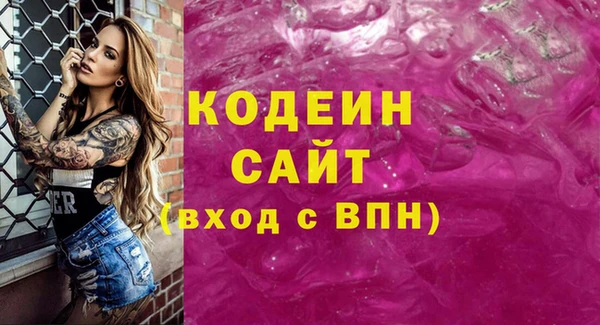 СК Каменка